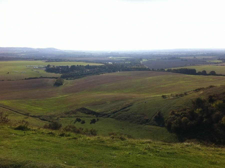 Dunstable Down
