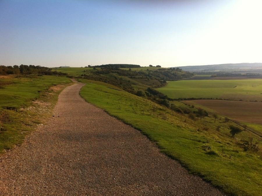 Dunstable Down