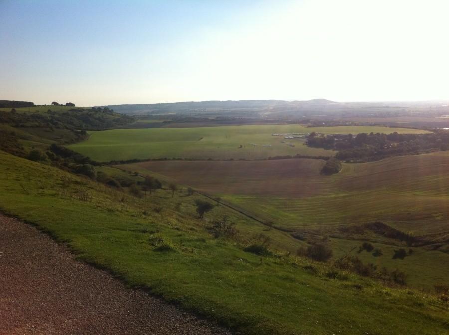 Dunstable Down