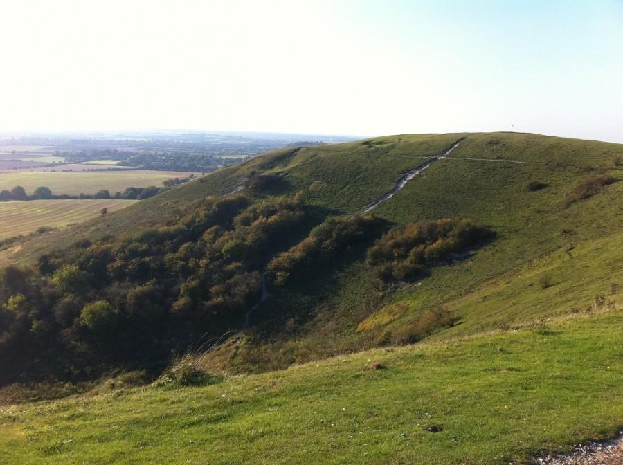 Dunstable Down