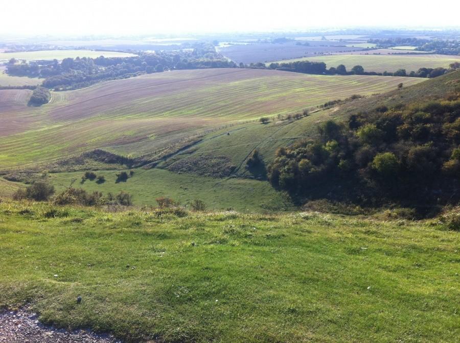 Dunstable Down