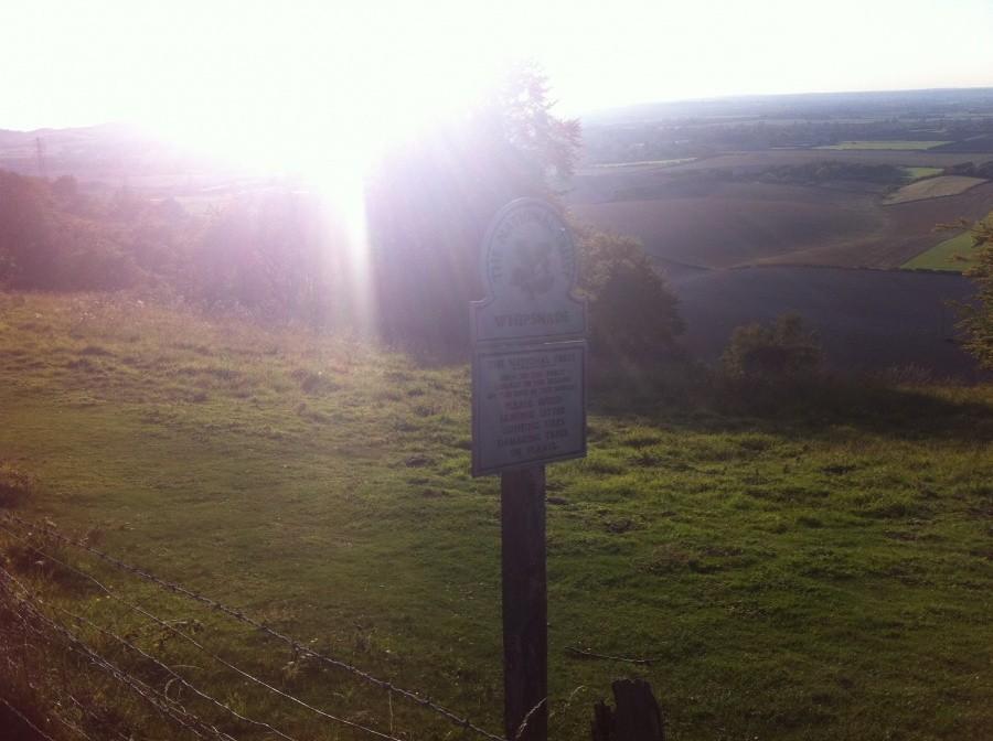 Dunstable Down