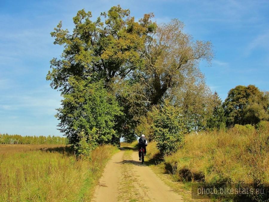 Henio na trasie dzisiejszej wycieczki.