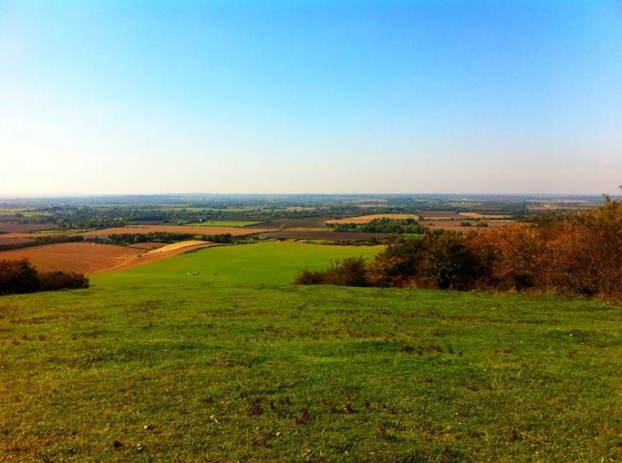 Dunstable Downs