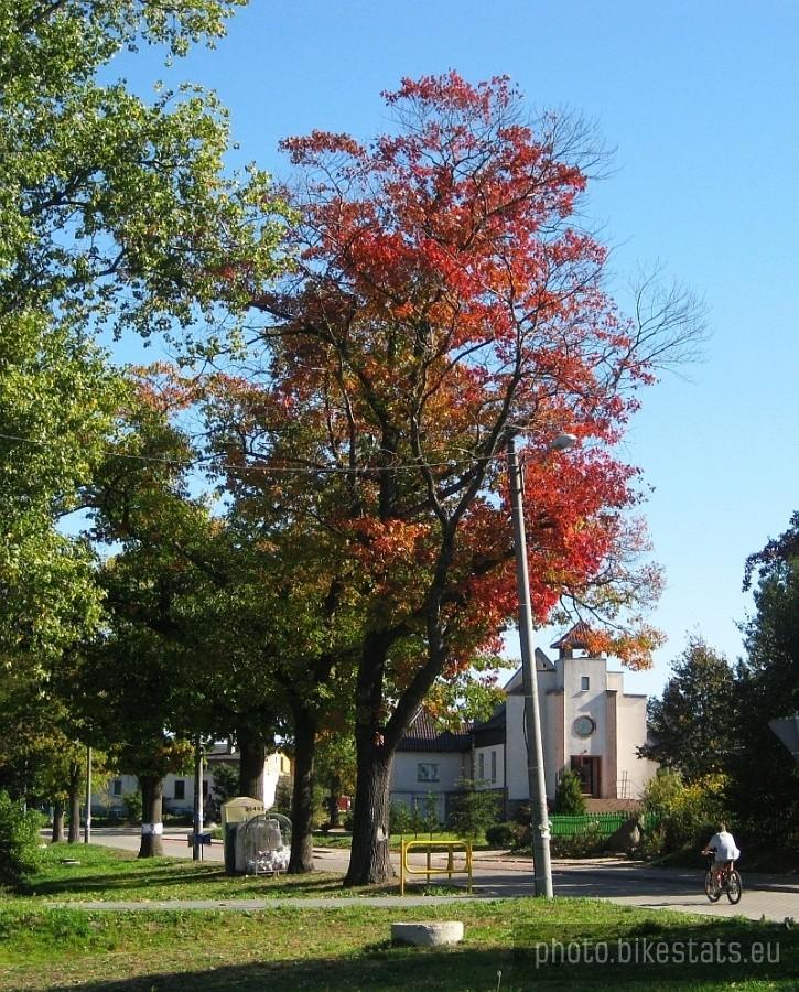 Karłowice - czerwień dębowych liści.