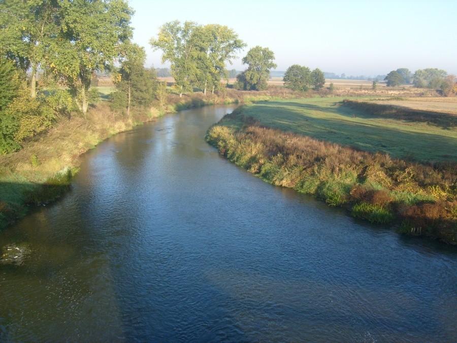 Prosna