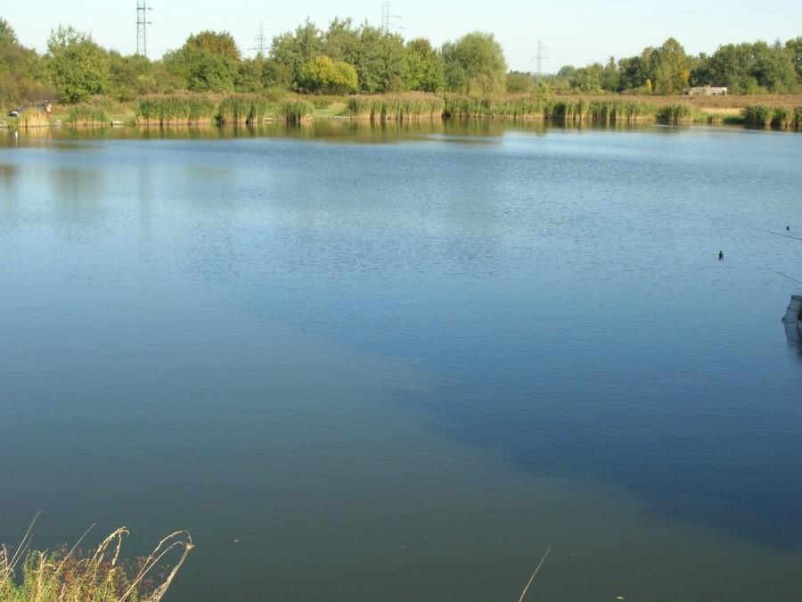 stawik graniczny