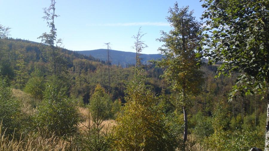 Widoczek jeszcze z nizin