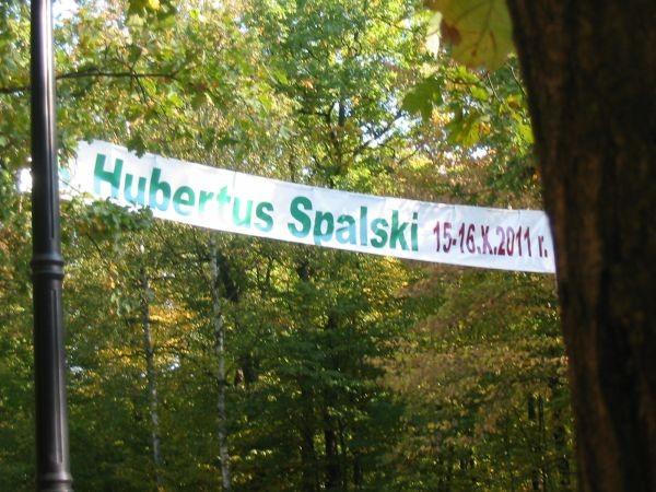 zapraszam na Hubertusa Spalskiego