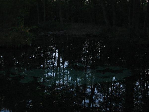 główne wywierzysko
