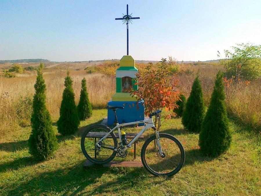 Kapliczka w polu gdzieś pomiędzy Mstowem a Brzyszowem.