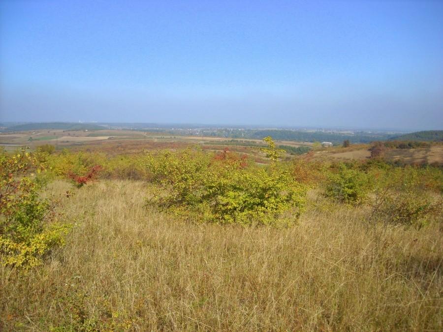 Widok z góry Skurzawa.