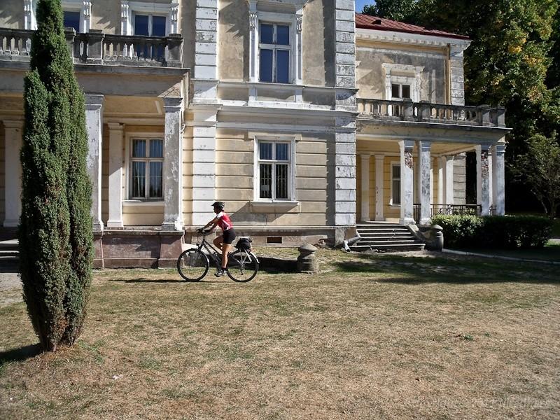 w Złotym Potoku