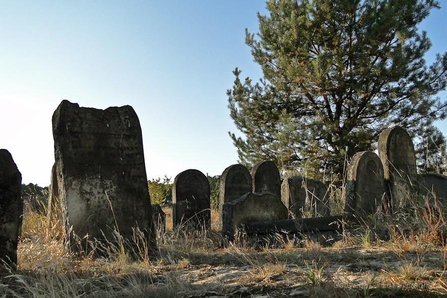 kirkut w Żarkach