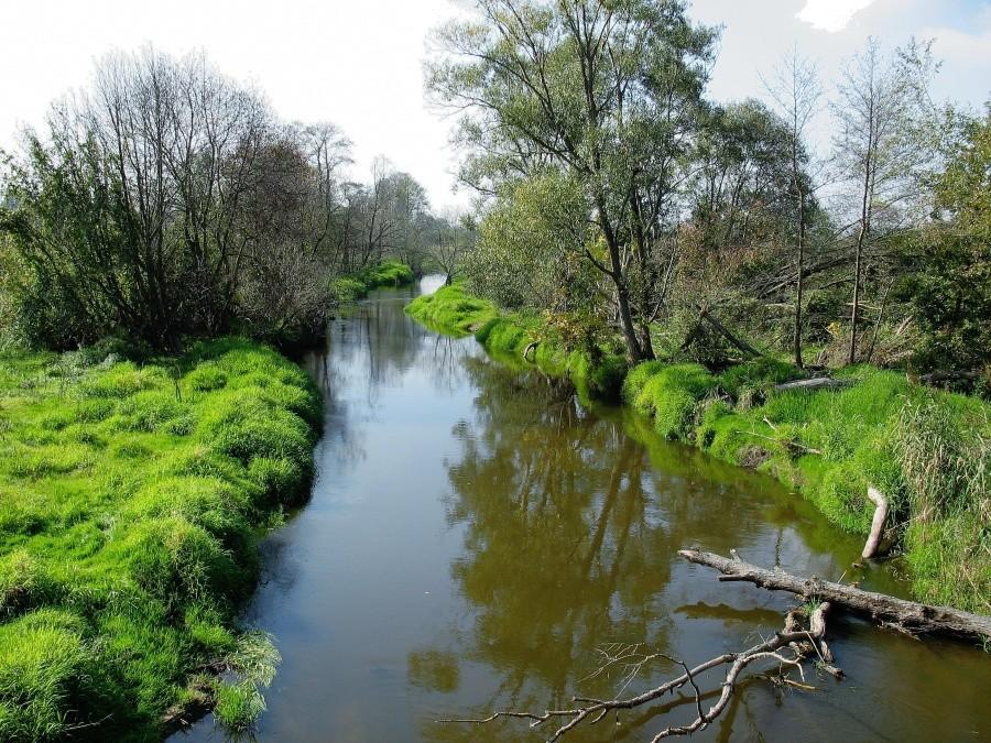Rzeka Jeziorka