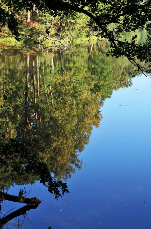 Jezioro Płęsno