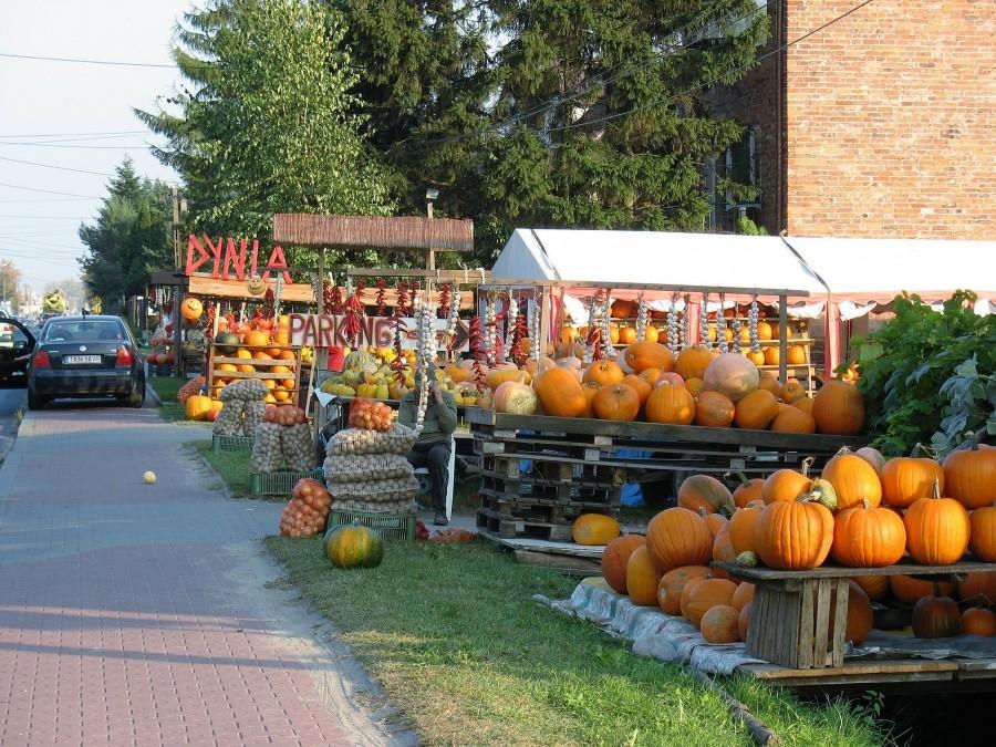 Lesznowola