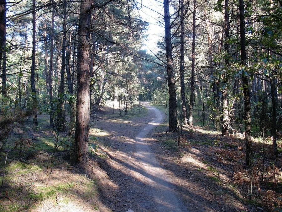 Ścieżka rowerowa z Pociechy do Sierakowa