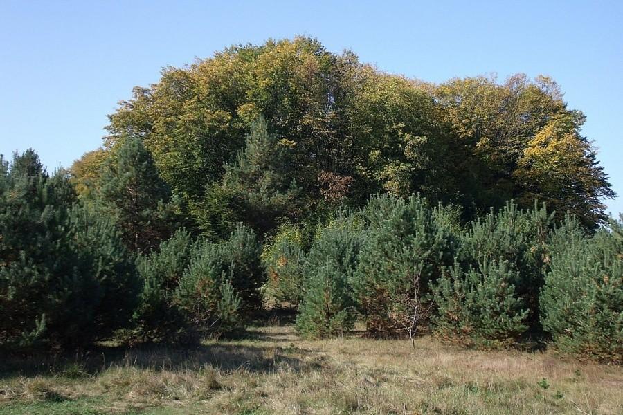 Nie trzeba się śpieszyć bo widoki są piękne