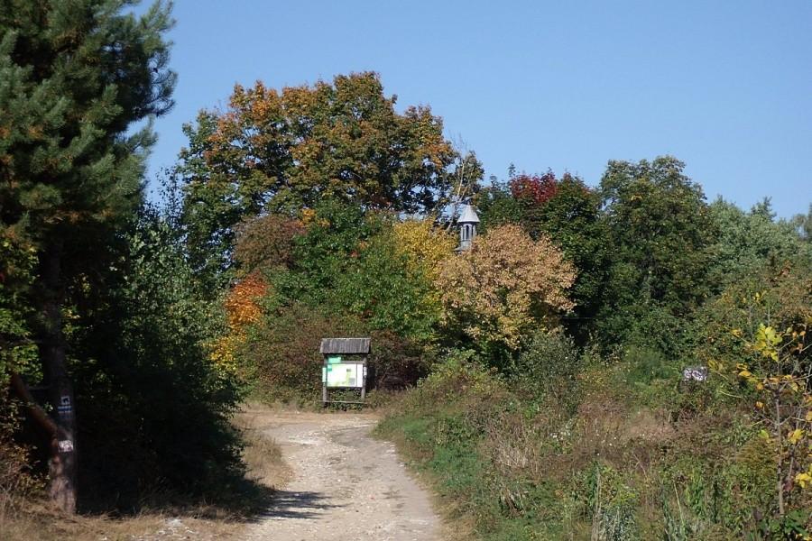 Kolory jesieni