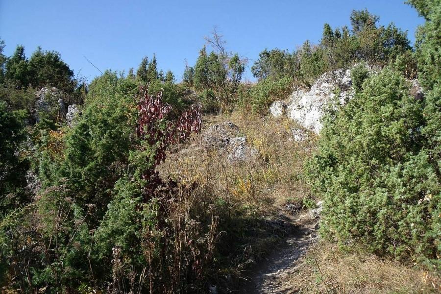 Lubię takie widoki