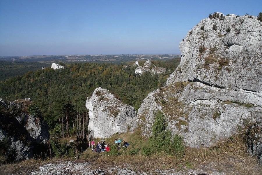 Co za widok
