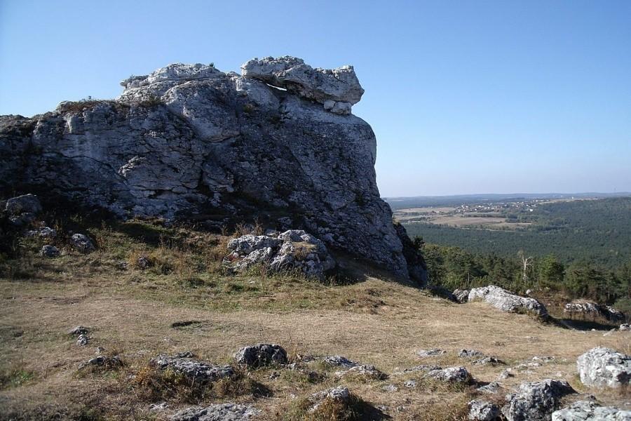 Camela