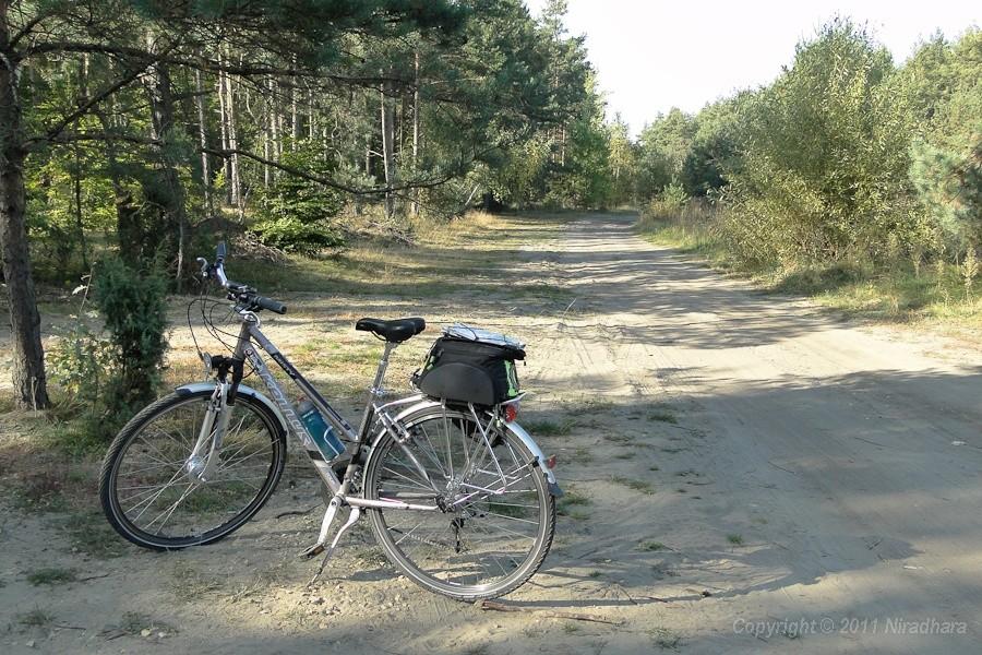 piaszczyście