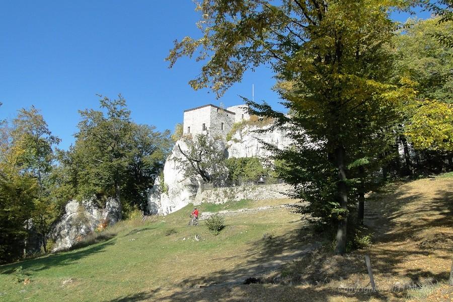 zamek Bąkowiec