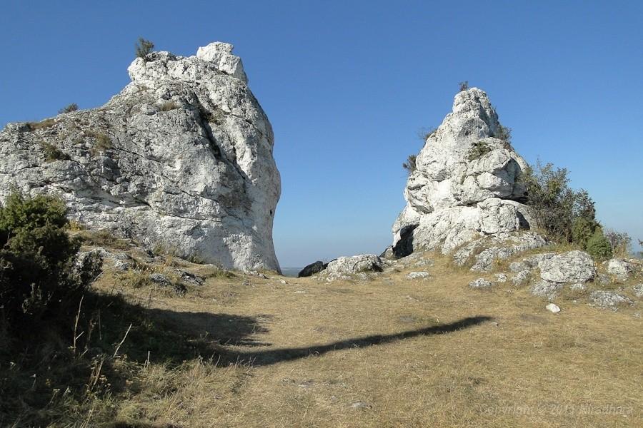pierwszy zachwyt