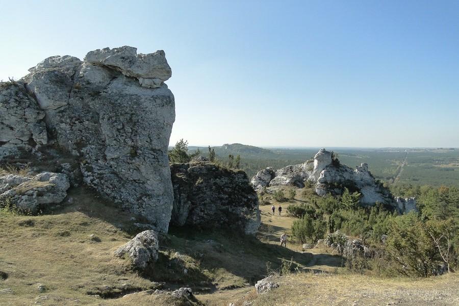 i jeszcze jeden