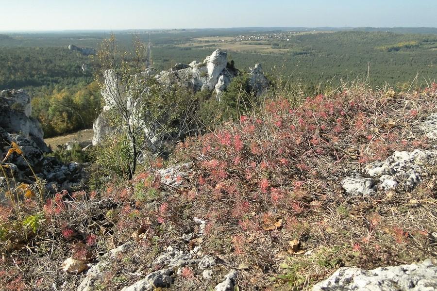 jedźcie tam i zobaczcie to sami!