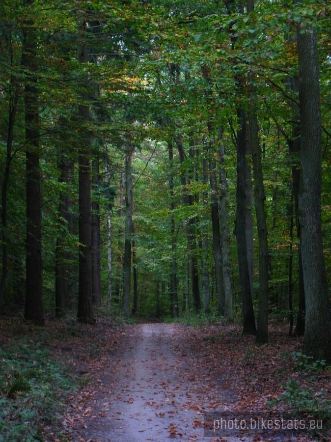 Park krajobrazowy Promno.