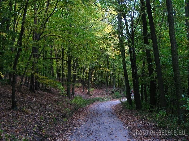 Park Krajobrazowy Promno - na lesistym szlaku.