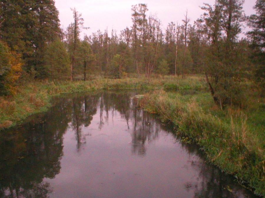 NAD RZEKĄ PASŁĘKĄ