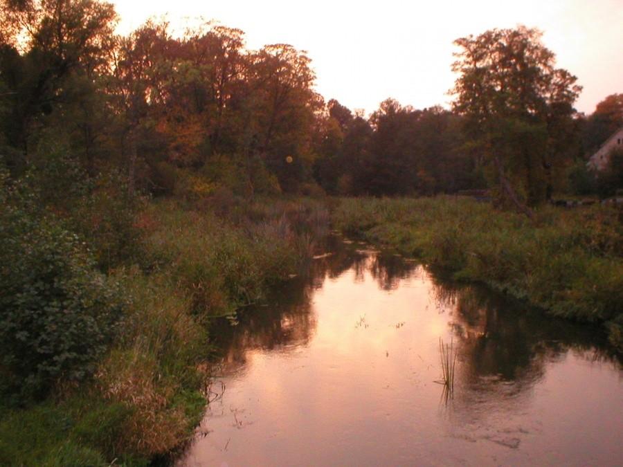NAD RZEKĄ PASŁĘKĄ
