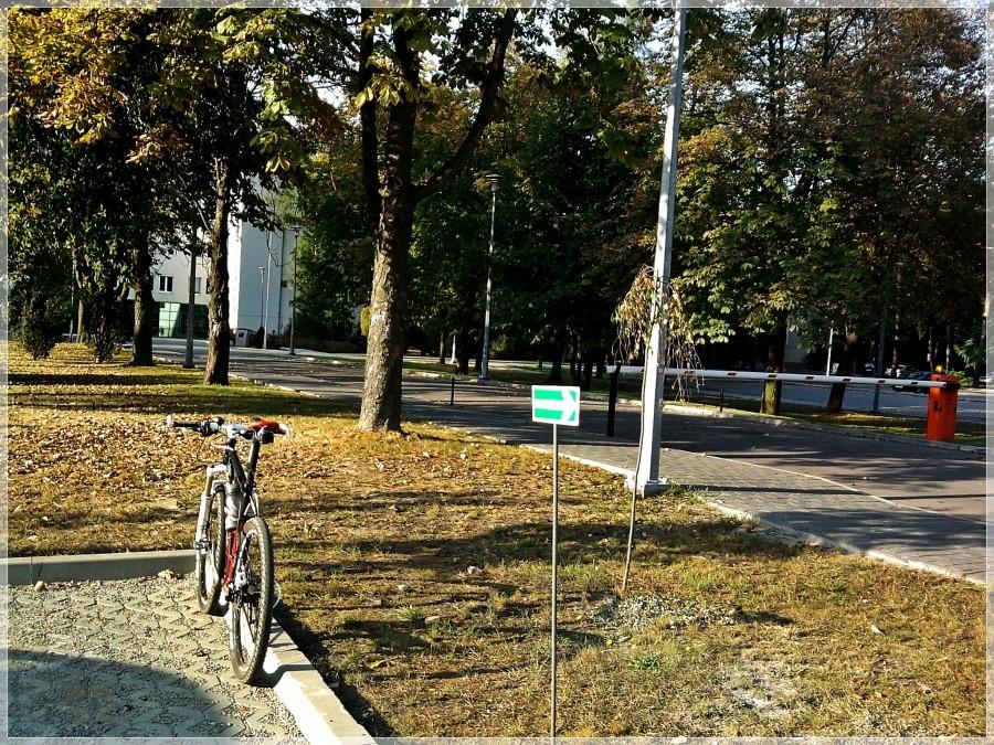 Pod instytutem