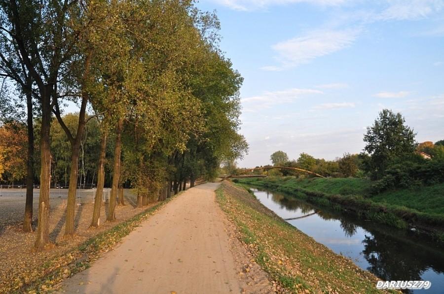 Droga rowerowa Będzin