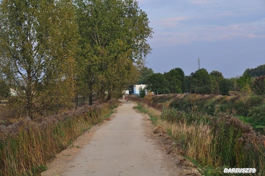 Droga rowerowa - Będzin