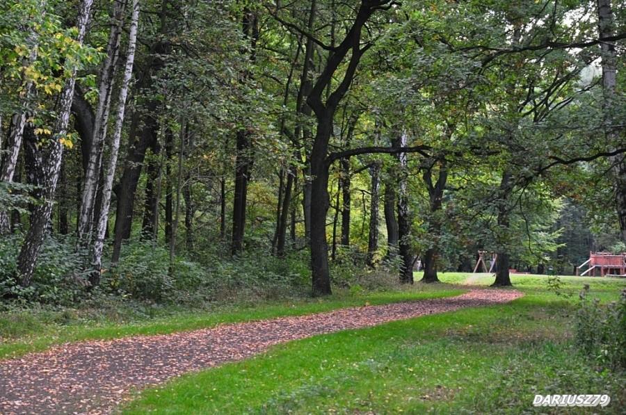 Dąbrowa Górnicza - Park Zielona