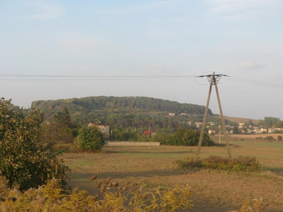 Dorotka