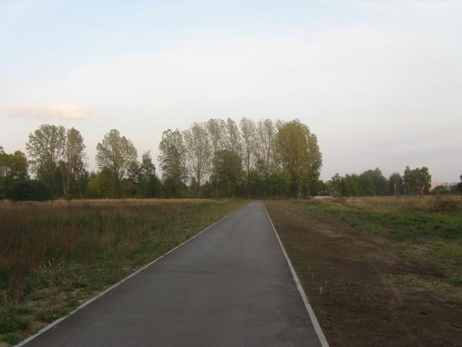 Autostrada z Zielonej na Pogorię