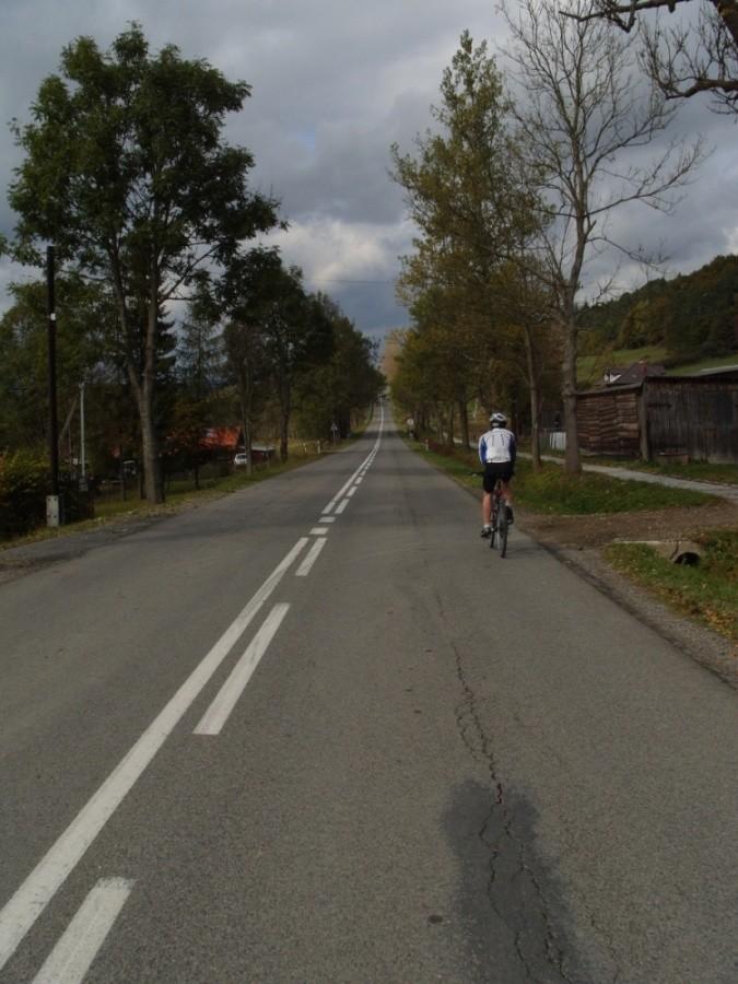 w Zdyni
