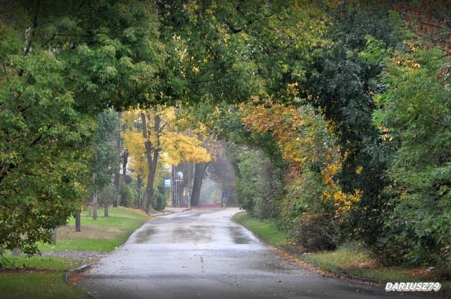 Sosnowiec - Środula