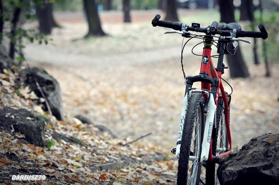 Sosnowiec - Park Schoena