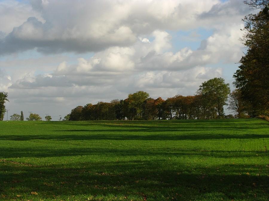 Jesień….