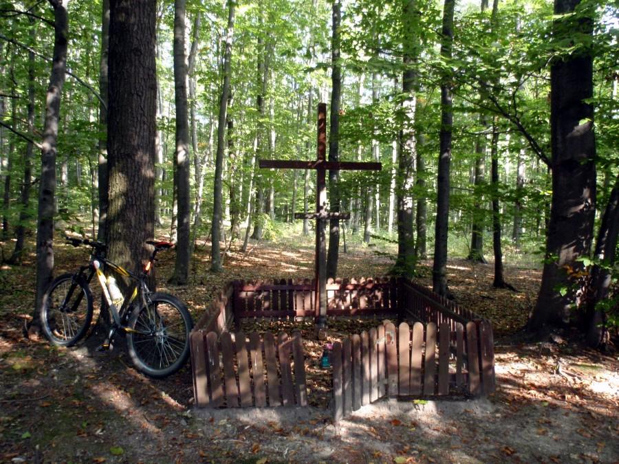 Mogiła 5 żołnierzy AK w lesie pod Bystrzanowicami Dwór