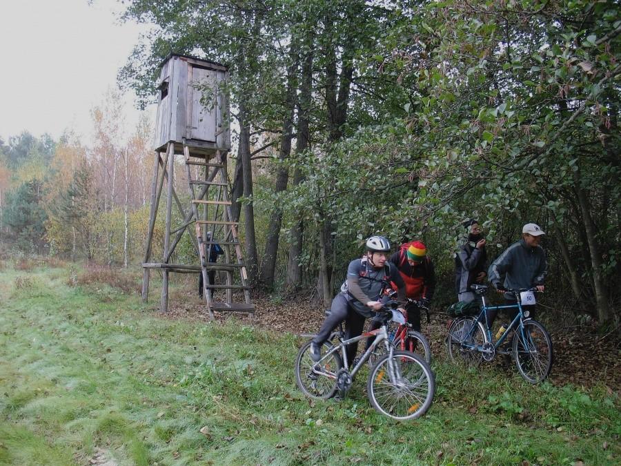 MTBO - Łucznica, PK 4 - ambona