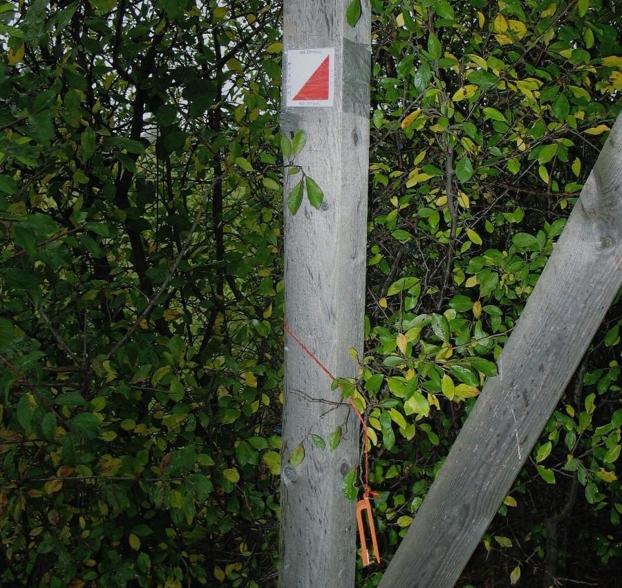 MTBO - Łucznica, PK 10 - ambona