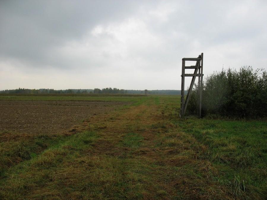 MTBO - Łucznica, PK 10 - ambona
